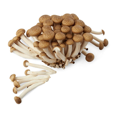 Givvo Brown Shimeji Mushrooms