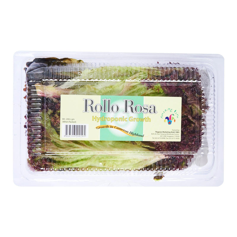 ThyGrace Rolla Rosa Lettuce