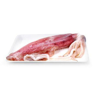 Fresh squid