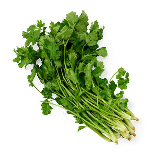 Givvo Chinese Parsley Coriander