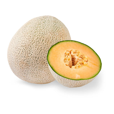 USA Cantaloupe Rock Melon